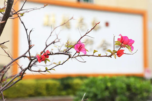 2020�������࣡��ů�������������