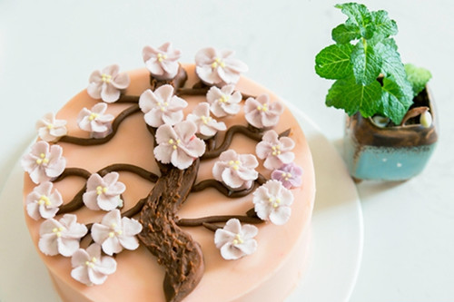 ��������ѧ�決��ʲô����