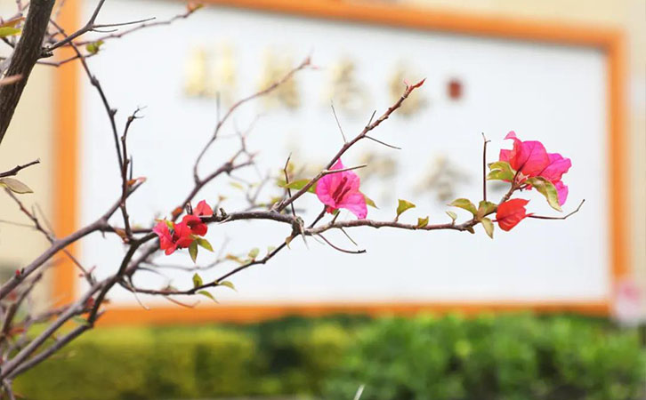 �����¶�������ѧУ