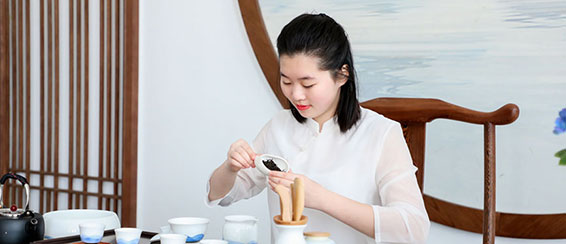 �������ŵ����רҵ